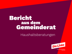 Kritik am Haushalt: (Facebook-Beitrag) - 2